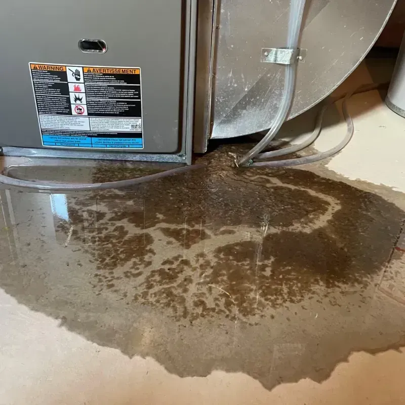 Appliance Leak Cleanup in Elbert County, GA